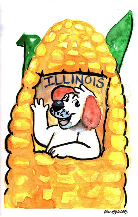 Watercolor Bill Illinois corn