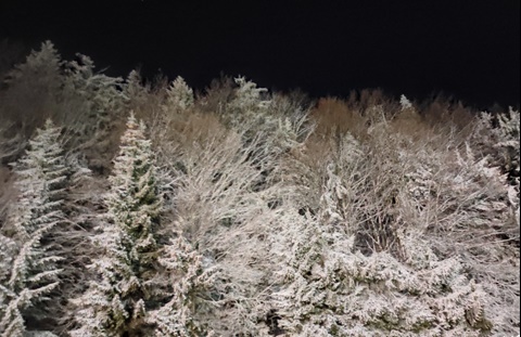 Winter in Maramureș