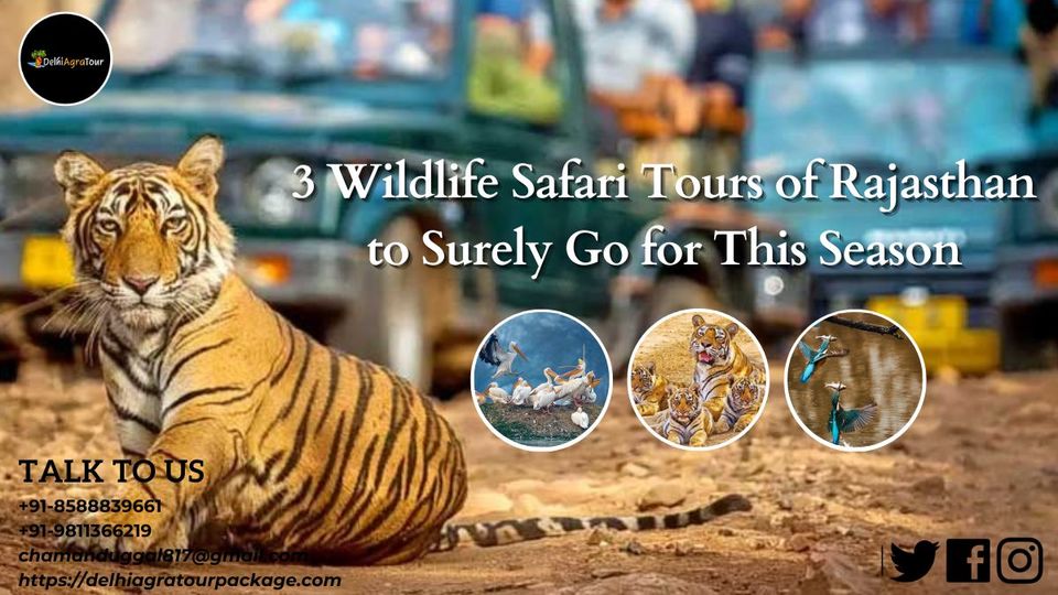 3 Wildlife Safari In Rajasthan To Must Visit This 