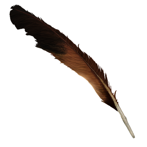 Flight feather