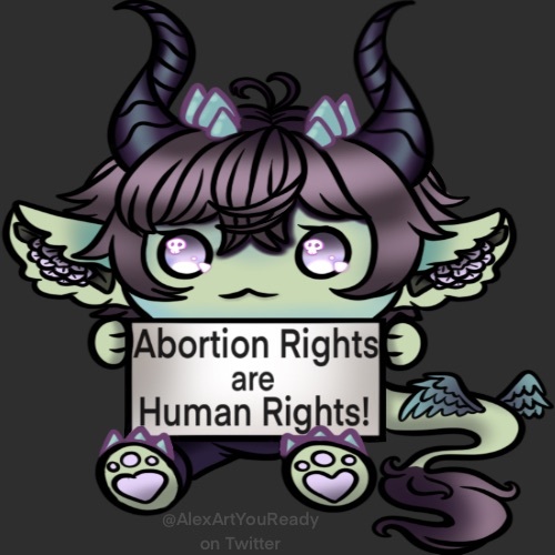 Abortion Rights Are Human Rights!