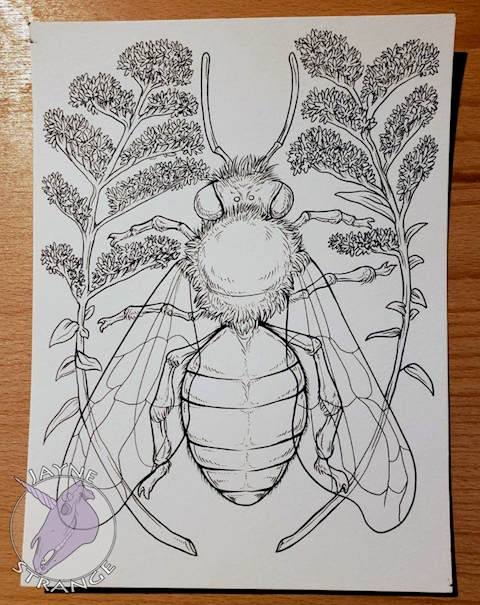 Goldrenrod Bee - Inks