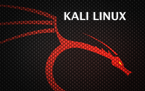 Kali Linux Hacking_ A Complete Step by Step - Mining - Digital DATA ...