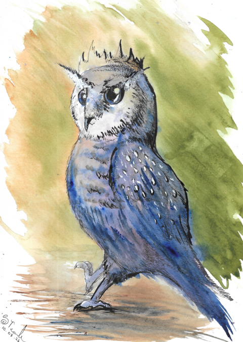 Noble owl - watercolour 10/05/24
