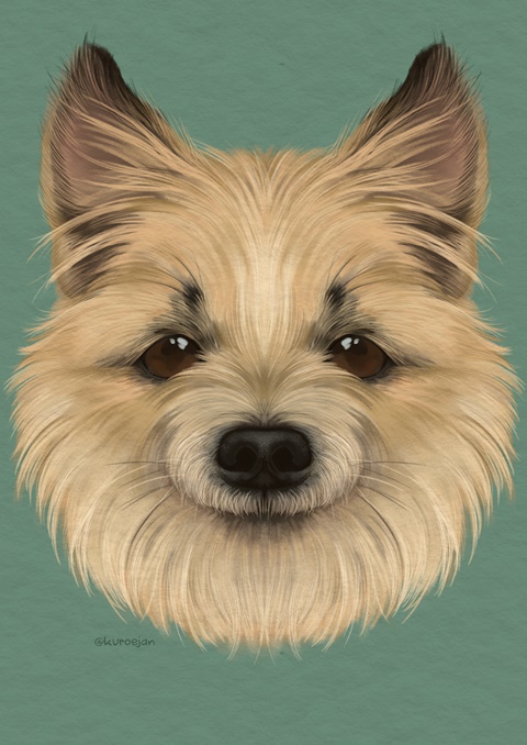 Dog portrait painting commission! ✨