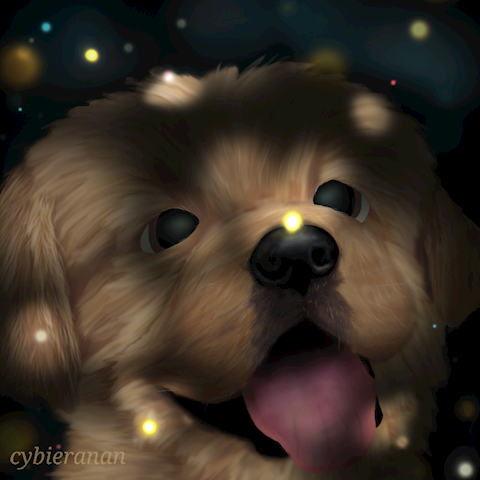 Pup meets Fireflies