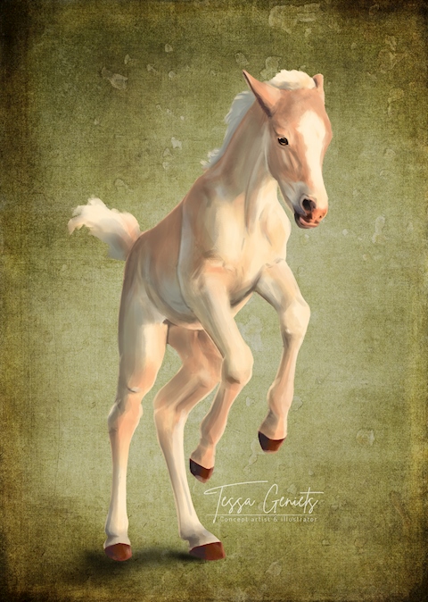 Foal 2