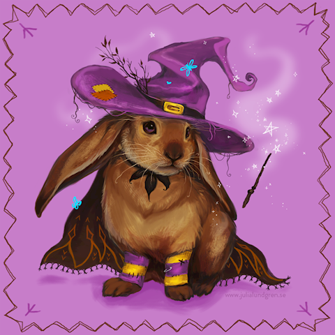 Witch Bunny