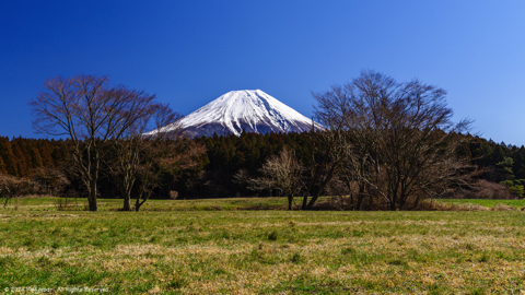 Mt. Fuji from Asagiri-Kogen Highland Plateau