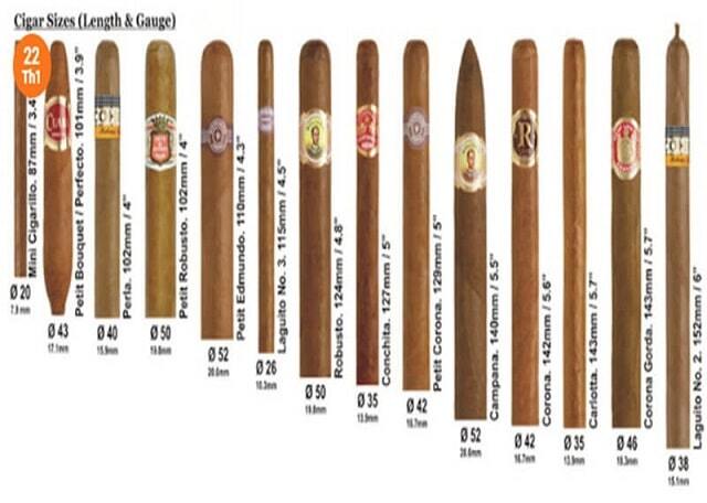 Tìm hiểu hình dạng và kích cỡ của điếu xì gà