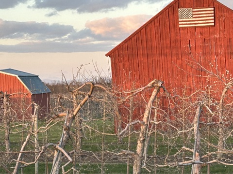 Sun Sets on the Barn in the Orchard