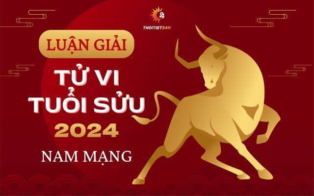 Luận Giải Tử Vi 2024 - Tổng Hợp Chi Tiết