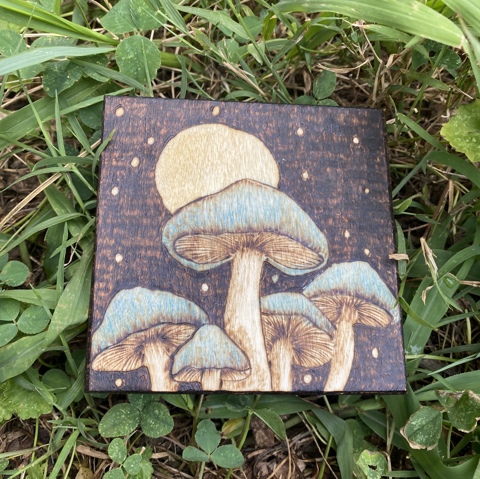 4 x 4 inch Mushroom Pyrography 