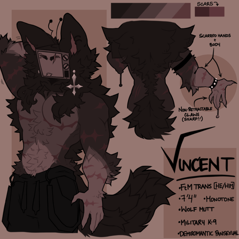 reference sheet - Vince