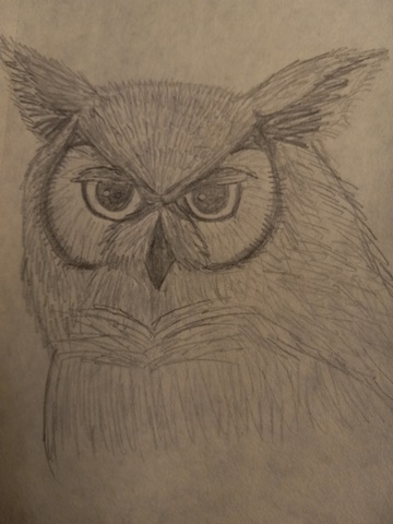 Judgement From An Owl