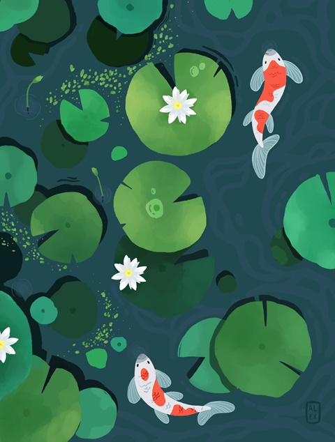 Koi Fish Pond APK Download for Android - Latest Version