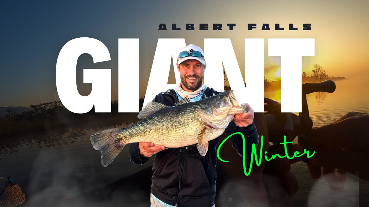 GIANT BASS in Winter