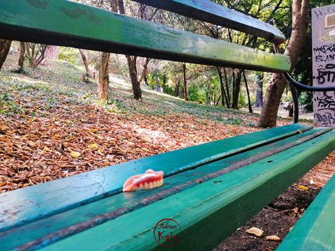 Dentures on a bench