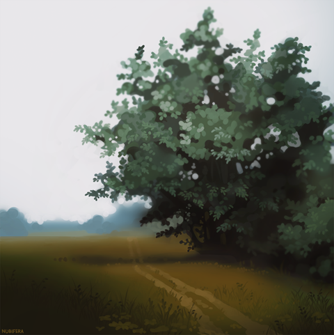 Another foliage study