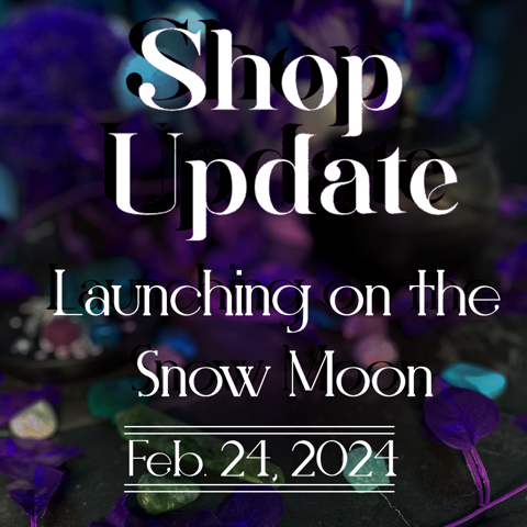 Next Shop Launch