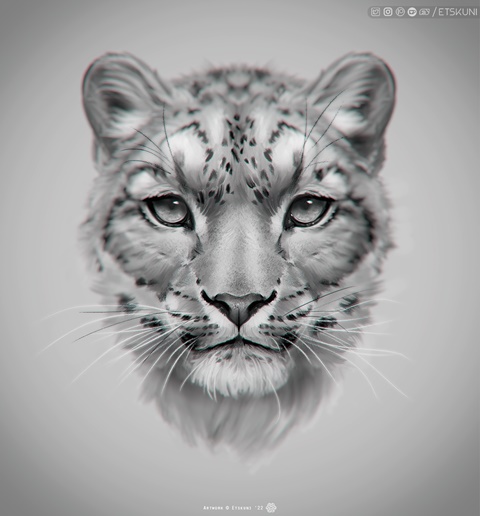 Snow leopard - Practice