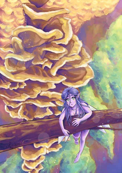 Finished Mushroom Fairy