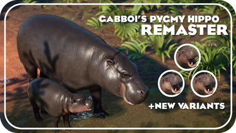 Pygmy Hippo Remaster and Variants now available