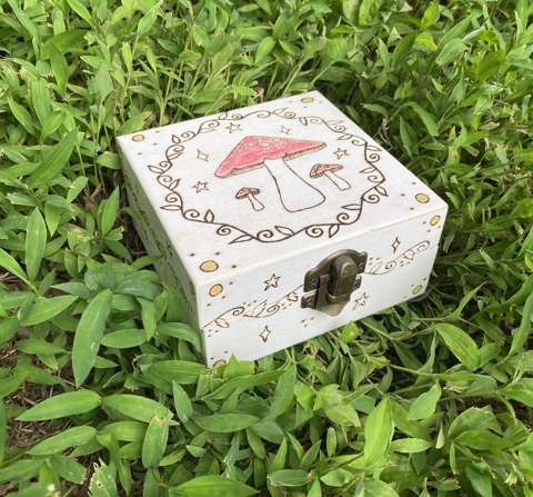 Mushroom Box 