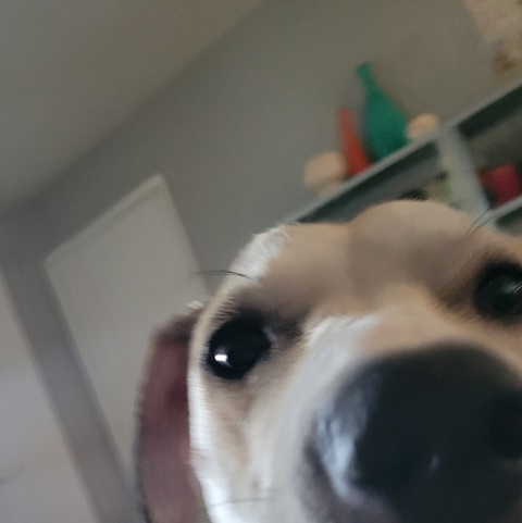 you got games on your phone?