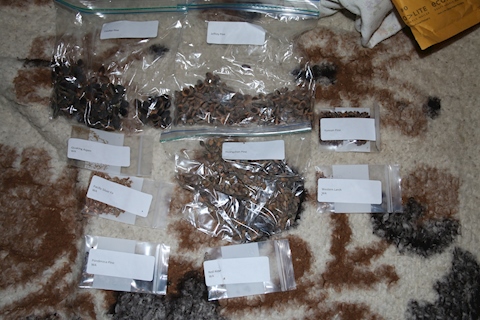 another pack of various seeds