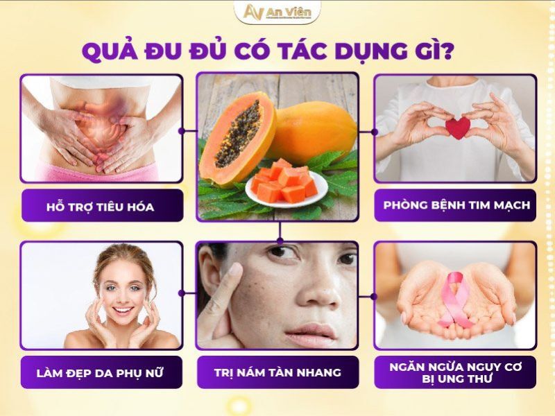 TÌM HIỂU QUẢ ĐU ĐỦ CÓ TÁC DỤNG GÌ?