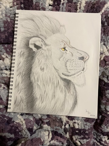 Lion Sketch [Complete]