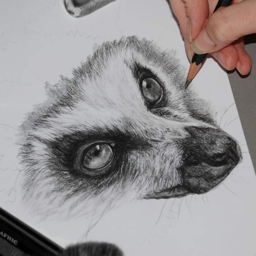 Five must-have products for the graphite artist