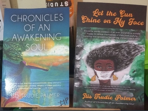 Chronicles of an Awakening Soul