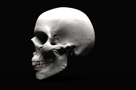 Skull Render 3