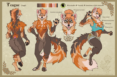 Pine marten reference sheet and design