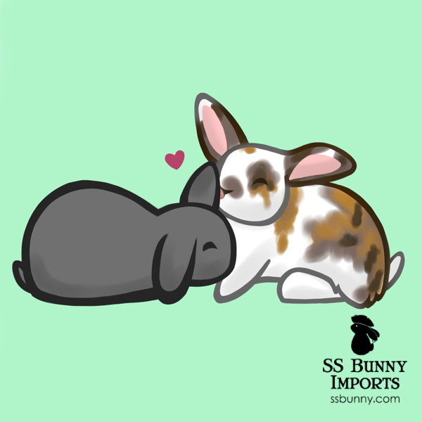Bonded rabbits artwork
