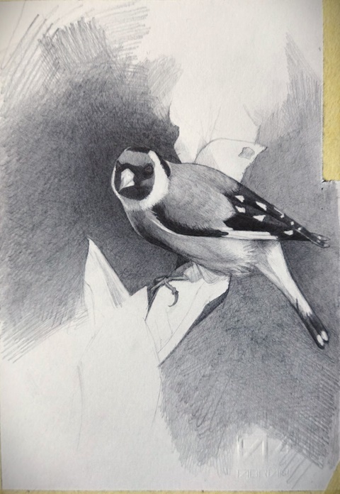 Goldfinch finished