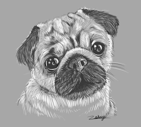 Pug Portrait