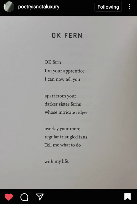 Ok Fern - a poem By Maureen N McLane