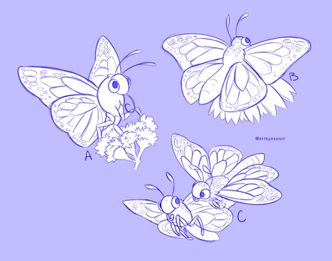 Monarch Butterfly Sketches