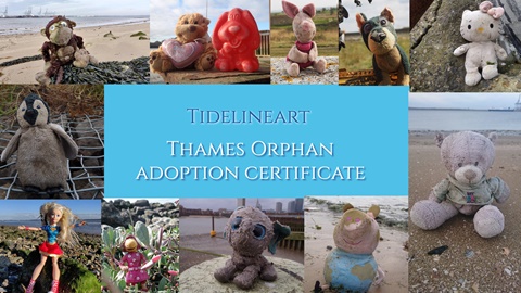 Adopt a Tideline Art Thames Orphan