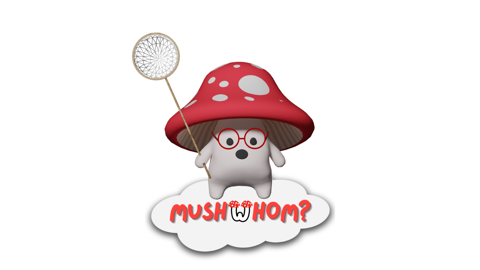 Play MushWhom, Corporation Inc, & Figure It Sprout