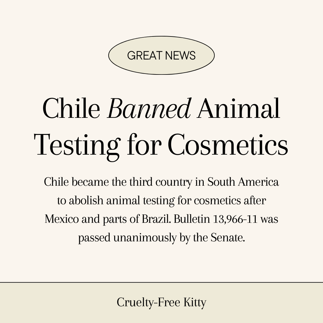 NEWS! Chile Banned Animal Testing for Cosmetics