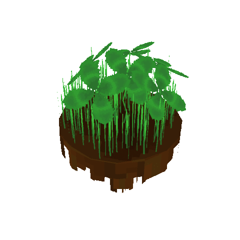 Clovers - Low Poly 