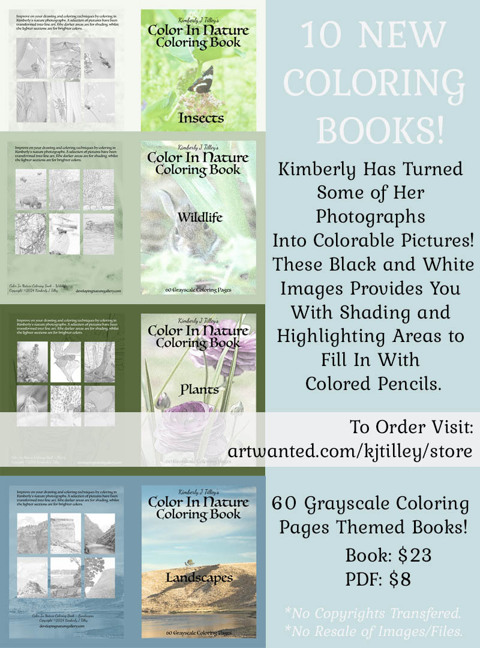 New! Color In Nature Coloring Books
