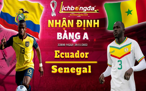 🌟Lịch Thi Đấu Bóng Đá Ecuador vs Senegal | Bảng A