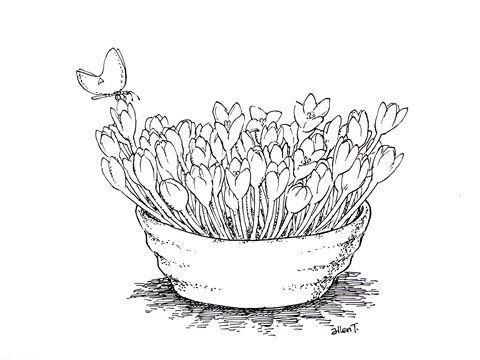 Pot of flowers - ink sketch