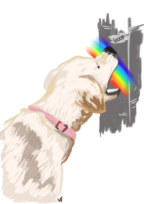 Rainbow Doggo