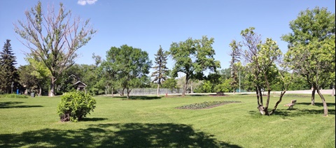 Andrew Currie Park - Open Area
